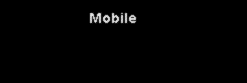 Mobile site (zippy-dippy)